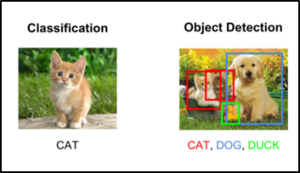 A Guide to Build your Custom Object Detection Model using YOLOv3 ...