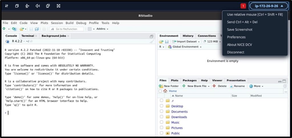 Creating Powerful Research Oriented Virtual Computers using Amazon ...