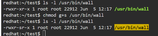 Terminal showing ls -l for /usr/bin/wall, then chmod g+s applied, changing permissions to include setgid (rwxr-sr-x).