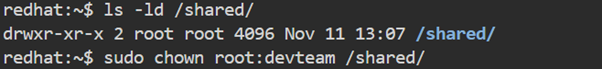 Terminal showing ls -ld /shared/ directory details, then chown root:devteam /shared/ to change its owner and group.