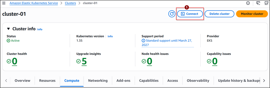 Amazon EKS console showing cluster details and Connect button for quick Kubernetes cluster access.